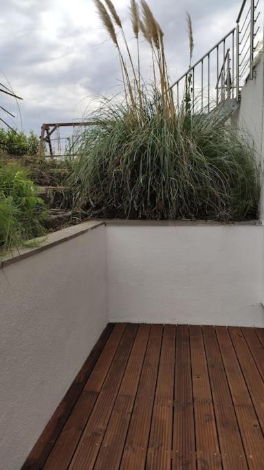 Neue 90 Qm 2-Zimmerwohnung Naehe Koeln Odenthal Exterior foto
